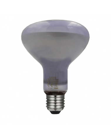 Lámpara NEODIMIO R80 75W E27 Claro