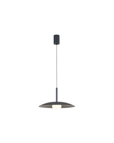 Lámpara Colgante Sube y Baja LED 12W 3000K Plato 46cm Gris Oscuro IP20