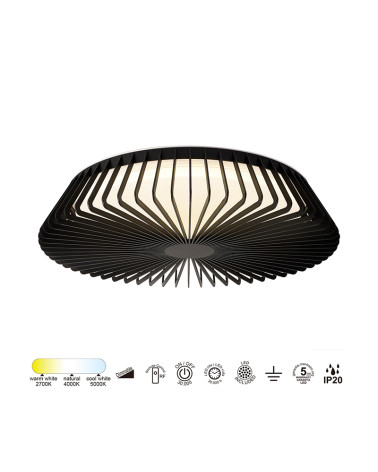 80W LED Ceiling Light, Cage Ø63cm, 2700K, 4000K, 5000K, Dimmable with Remote Control and Mobile App, Black Finish