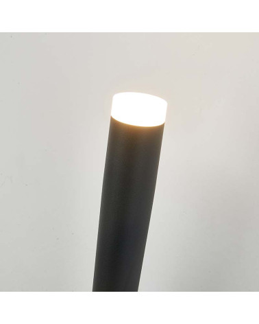 Aplique LED 6W de luz cálida ascendente 3000K diseño de rama blanca, negra o dorada estilizada