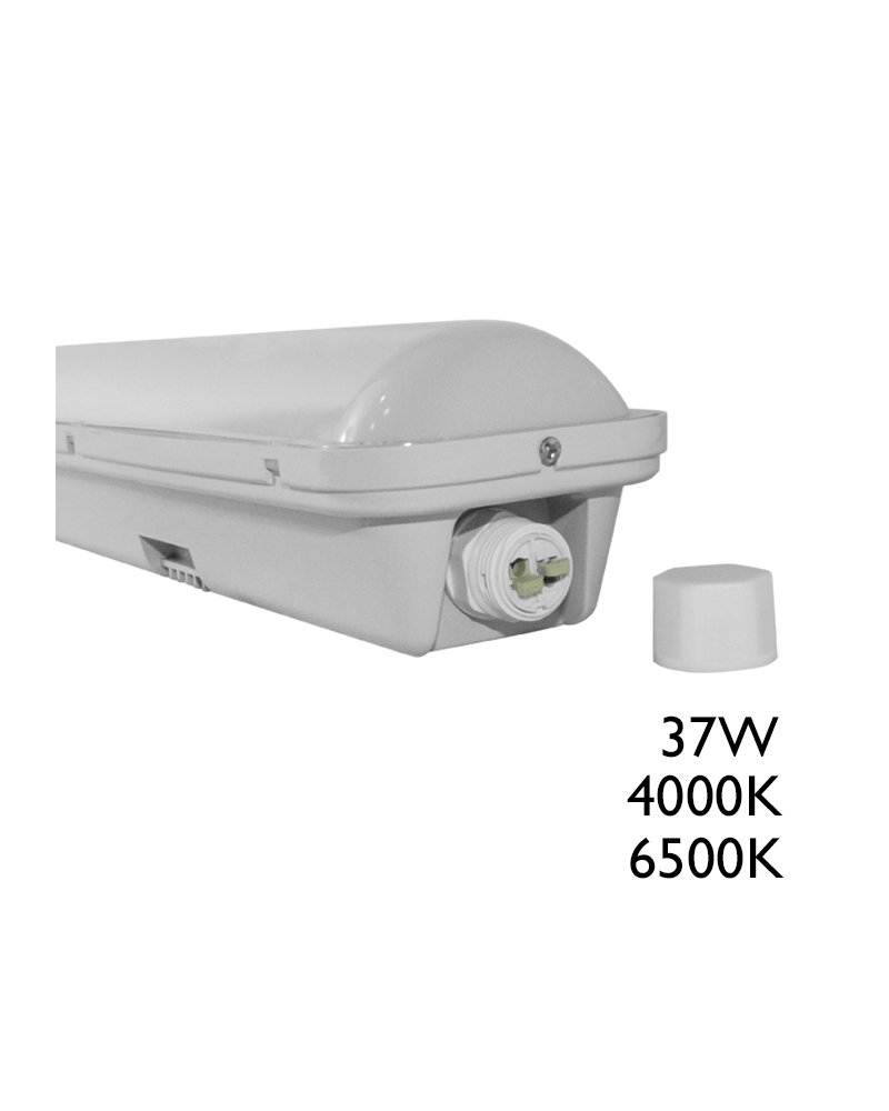 Waterproof LED luminaire 37W 1200mm IP65 surface