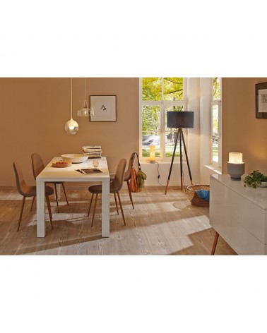 Pendant lamp metal lampshade in matt white color with glass