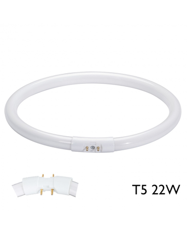 Circular fluorescent tube T5 22W 2 GX13