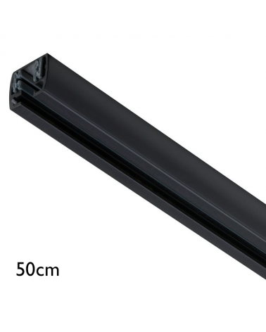 Rail 50cm Series 142/1