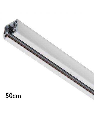 Rail 50cm Series 142/1