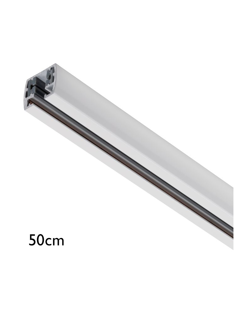 Rail 50cm Series 142/1