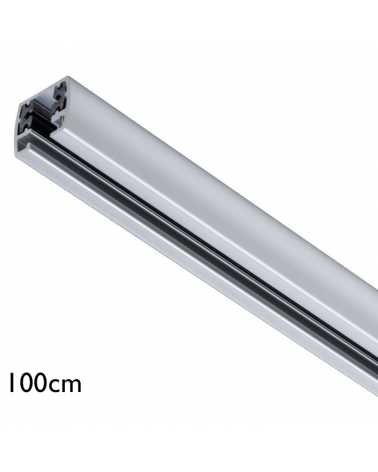 Rail 100cm Series 142/1