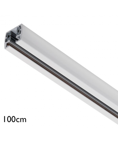 Rail 100cm Series 142/1