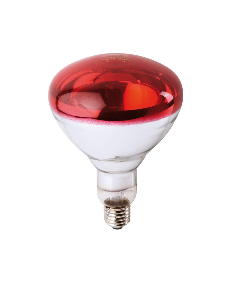 Spot LED rouge R80 4W E27 230V