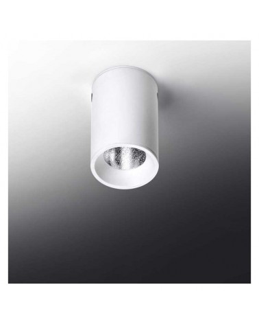 Fixed surface smooth cylinder spotlight 4x6.LED 5W 2700K 500Lm dimmable  dimmable steel LED 5W 2700K 500Lm