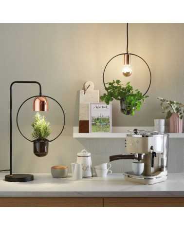 Black Metal and Copper Indoor Plant Ceiling Lamp max. 1x20W E27