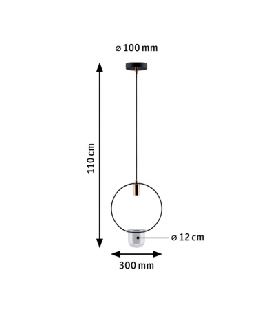 Black Metal and Copper Indoor Plant Ceiling Lamp max. 1x20W E27