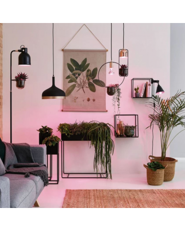 Black Metal and Copper Indoor Plant Ceiling Lamp max. 1x20W E27