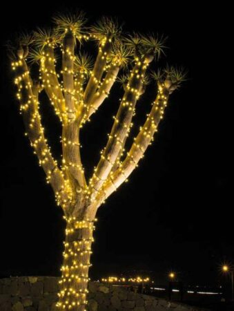 Guirnalda 12m y 180 LEDs blanco cálido cápsula clara empalmable IP65 apta para exterior